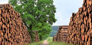 Дърва за огрев