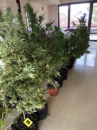 Спецакция на полицията