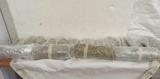 Контрабанда на канабис