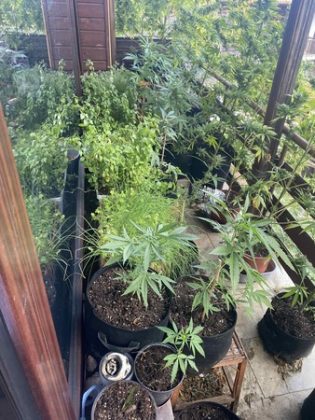 Спецакция на полицията