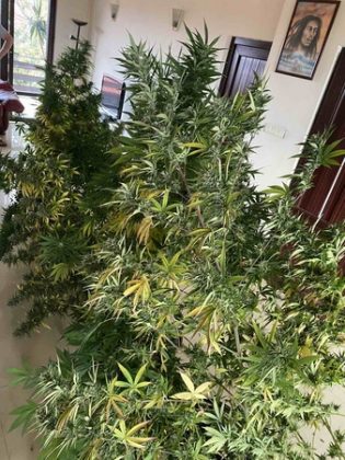 Спецакция на полицията