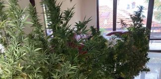 Спецакция на полицията