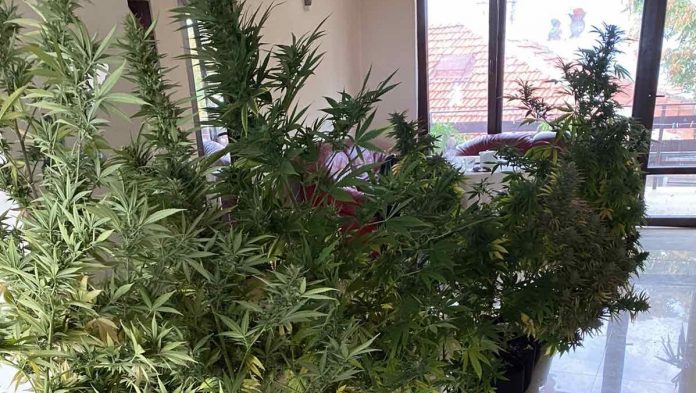 Спецакция на полицията