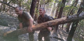 Пожар над Карлово