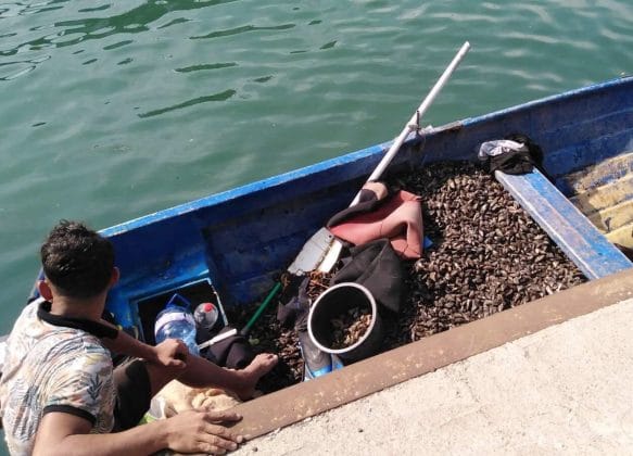 Инспектори на ИАРА хванаха бракониери с незаконен улов на миди в Бургас