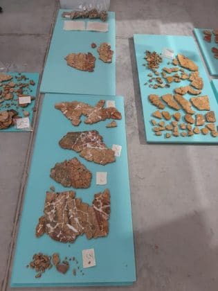 Експозиция в Петрич