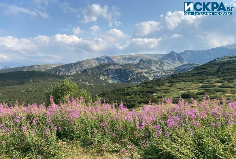 От УМБАЛ Свети Георги в Пловдив разкриха информация за пострадалия