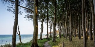 Плаж, море, гора