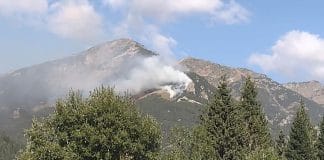 Пожар край Бели Искър