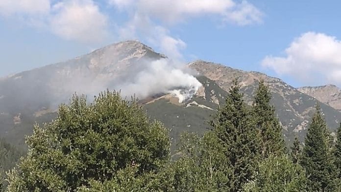 Пожар край Бели Искър