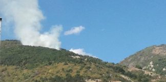 Пожар в горите край Карлово