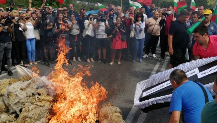 Протест на зеленчукопроизводители и животновъди