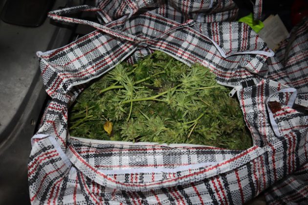 Акция във Видин срещу наркоразпространението