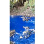 Синята вода на река Резовска