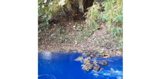 Синята вода на река Резовска