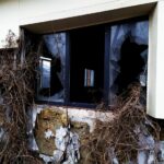 Стъкла, процорец