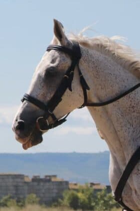 255068728 259370322821501 251851128687598051 n