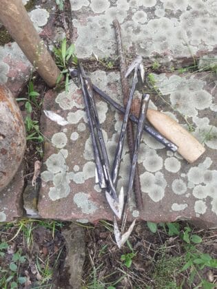 255126859 2343585459116821 4167245422604056245 n