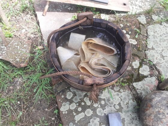 255175600 414791670309021 23044701927491508 n