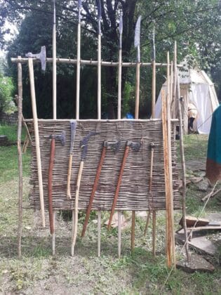 255953734 305690328066551 8486383878831017765 n