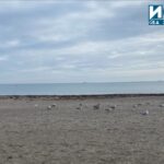 Плажът и морето в Бургас