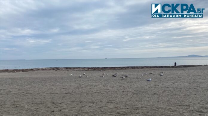 Плажът и морето в Бургас