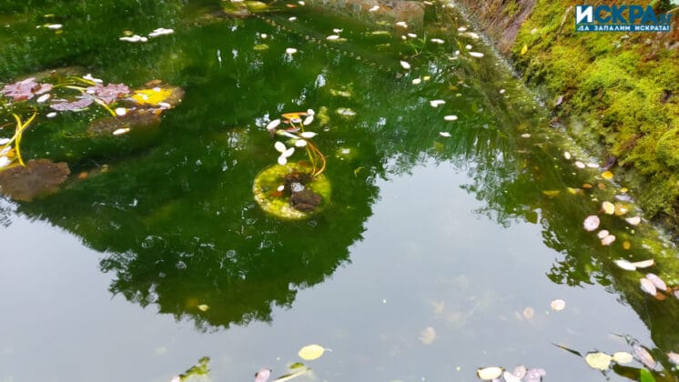 Голямобуковски манастир "Св. Животоприемен източник"