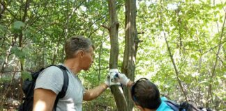 Маркирковка по Витоша