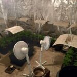 Наркооранжерия