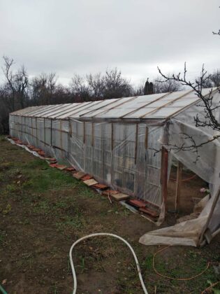 Наркооранжерия