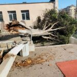 Паднало дърво в ОУ "Пейо Крачолов Яворов" в Бургас