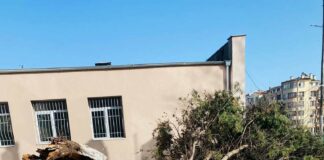 Паднало дърво в ОУ "Пейо Крачолов Яворов" в Бургас