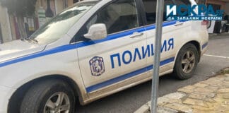 Полицейски патрулен автомобил, полиция