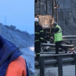 Свидетел на автобусната катастрофа на АМ "Струма"