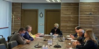 Виолета Комитова