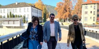 Виолета Комитова