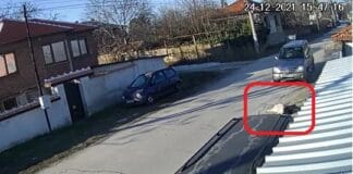 Пострадало куче