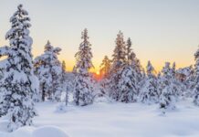 Изгрев, зима, планина, сняг