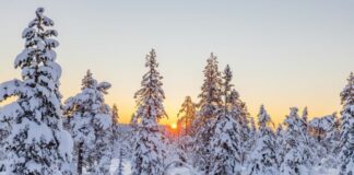 Изгрев, зима, планина, сняг