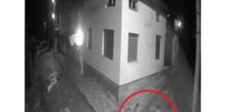 Кадри от убийство в Луковит