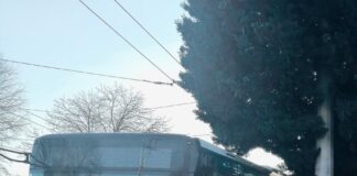 Дядо Коледа