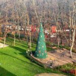 Коледната елха на "Utopia Forest"