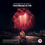 „Красивото за нас е ужасяващо за тях“