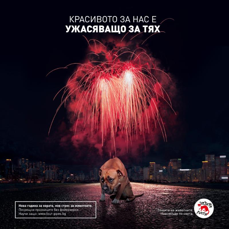 От международната организация за защита на животните Четири лапи припомнят