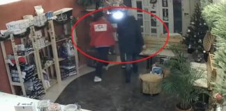 Кражба на куче