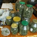 Марихуана в Самоковско