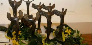 Награда борба