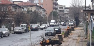 Орязани дървета в Царево