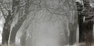 Път, лед, сняг