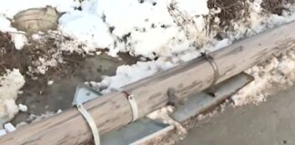 Паднал стълб